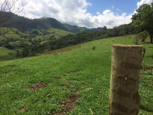 Imagem 8 de 30 de Fazenda - Município Cambuí-mg - Fa0050