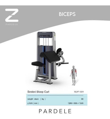 Aparato Gimnasio Para Ejercicio Biceps Maquinas Para Fuerza Color de la estructura Gris Color del tapizado Gris oscuro