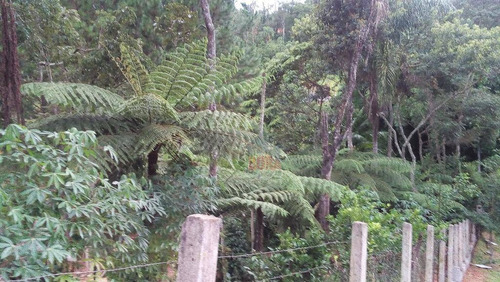 Chácara Residencial À Venda, Terra Preta, Mairiporã. - Ch0080