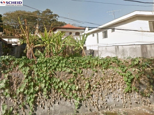 Imagem 1 de 2 de Terreno Residencial - Mr60063