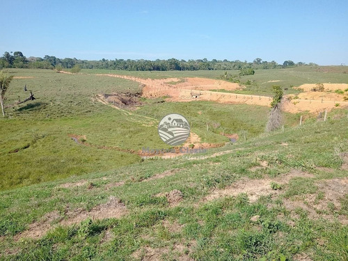 Imagem 5 de 14 de Venda Sítio Ariquemes Em Rondônia - Siv295