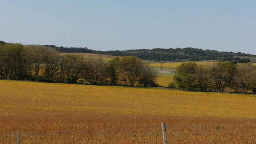 Imagen 3 de 7 de 18 Hectáreas De Campo Productivas En Colinas Verdes Id 28640