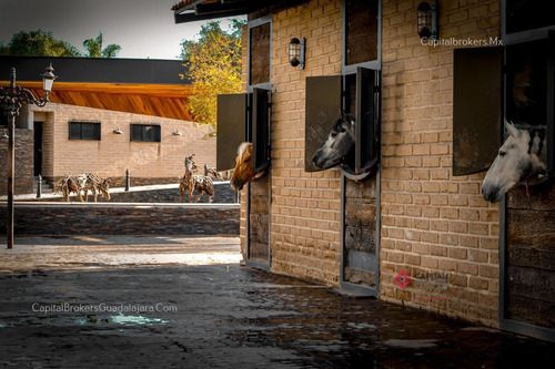 Rancho De Lujo Con Picadero Y Salon De Eventos En El Sur De Zm Guadalajara
