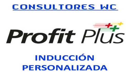 Profit Plus Consultor - Soporte - Asesoría