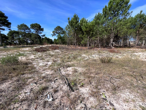 Imagen 11 de 12 de Venta Terreno Lomas De Solymar Canelones