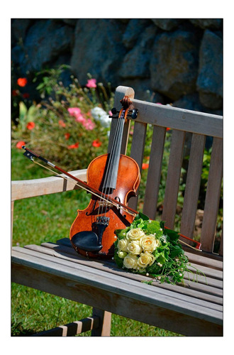 Vinilo Decorativo 20x30cm Violin Musica Instrumento M2
