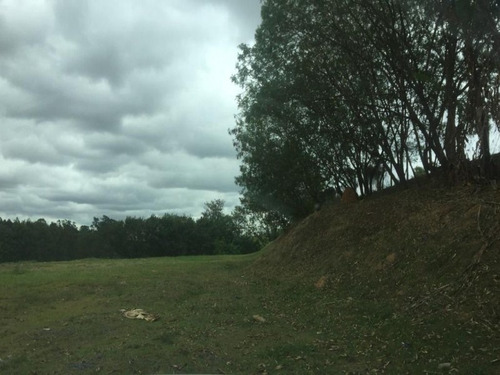 Imagem 21 de 30 de Área À Venda, 20000 M² Por R$ 5.000.000 - Éden - Sorocaba/sp, Próximo Ao Paço Municipal. - Ar0007 - 67640121