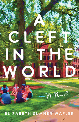 Libro A Cleft In The World - Wafler, Elizabeth Sumner