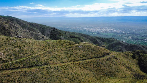 Imagen 20 de 28 de Se Venden 148 Ha De Terreno En Cerro Pan De Azúcar