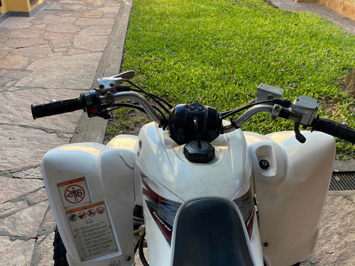 Yamaha Yfm 350 R (btc)