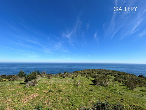 Vista Panorámica Al Mar, Zapallar Norte