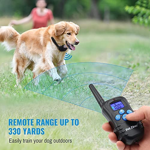 Petrainer Pet998drb2 Collar De Entrenamiento Para Perros Con