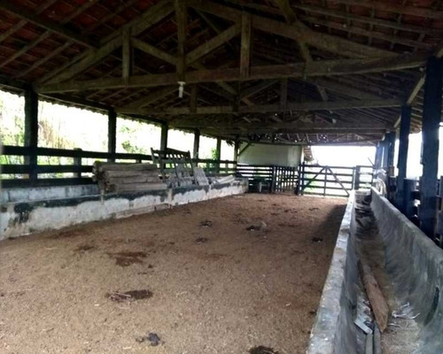 Imagem 19 de 30 de Fazenda - 0132 - 32820420