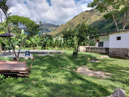 Imagen 2 de 29 de Finca Mixta + Manga De Coleo De 1 Ha En Guayabita En Turmero