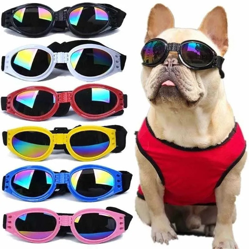 Imagen 3 de 8 de Lentes (gafas) De Sol Uv. Perro Mascotas Mediana A Grandes