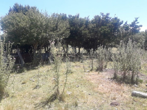 Imagen 8 de 14 de Campo Cerca De La Ruta 12 Y Ruta 60 - Minas