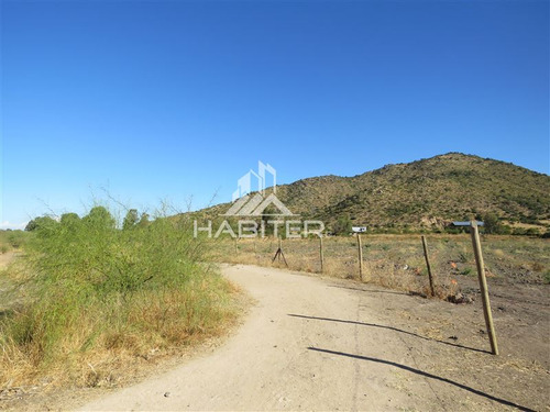 Imagen 20 de 24 de Agrícola En Venta En Maule