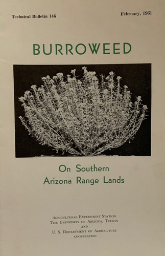 Burroweed On Southern Arizona Range Lands