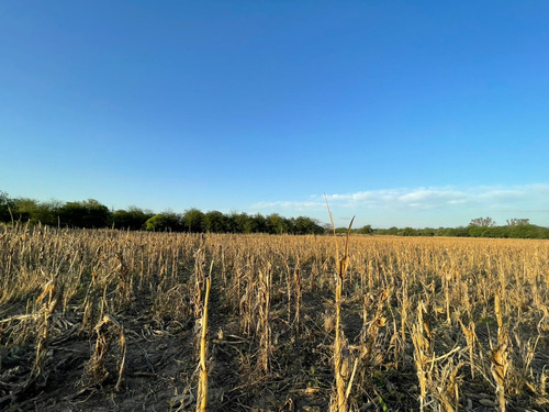 Fracción De 10.5 Hectáreas En Venta, José De La Quintana, Córdoba