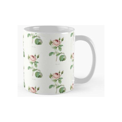 Taza Diseño De Rosa Indica Para Los Amantes De Las Flores Ca