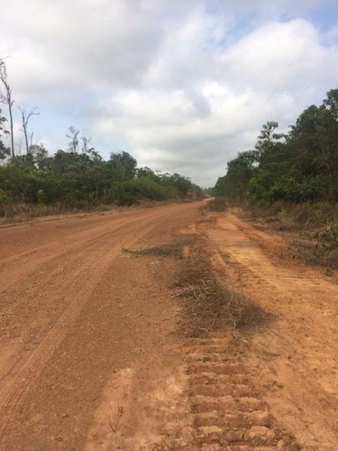 Imagem 2 de 5 de Fazenda Para Venda Em Buriticupu, Buriticupu - 3001/18