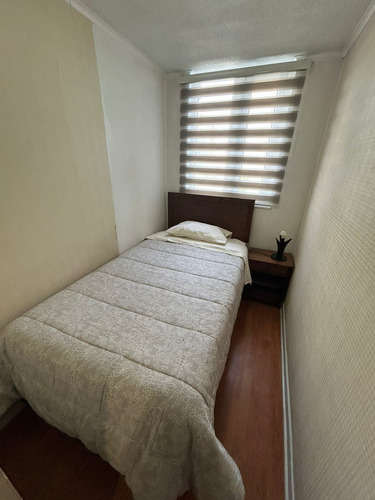 Arriendo Departamento Amoblado 3d Concepción (76897)