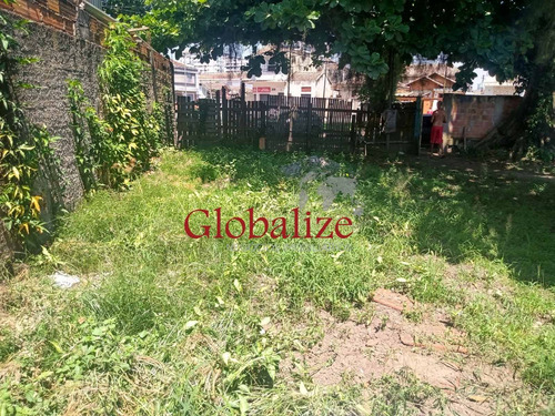 Imagem 4 de 16 de Terreno - Te00005 - 70482597
