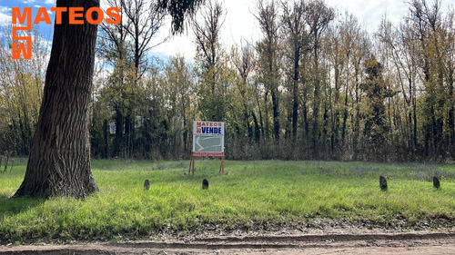 Venta Lote Sobre El Monte De Santa Teresita Ideal Para Emprendimiento Calle Entre Rios Y General Paz