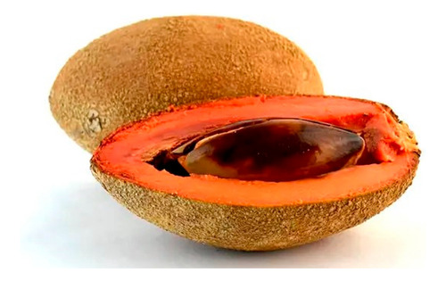 Aceite De Mamey 1 Litro
