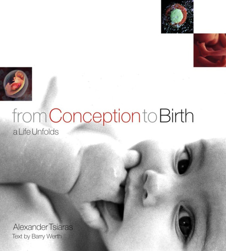 Libro:  From Conception To Birth: A Life Unfolds