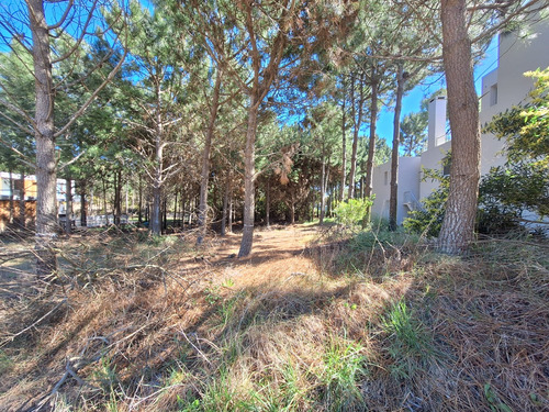 Lote En Costa Esmeralda Maritimo 2 Venta O Permuta