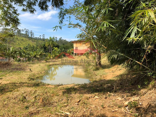 Imagem 8 de 15 de Chácara Em Canelinha - Canelinha, Sc - 129