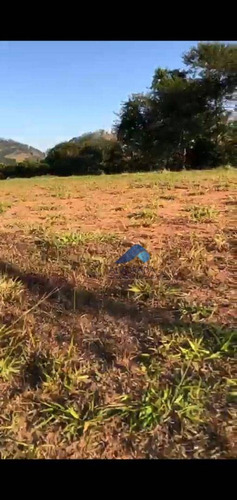 Imagem 6 de 7 de Terreno À Venda, 1300 M² Por R$ 195.000,00 - Piedade - São José Dos Campos/sp - Te0825