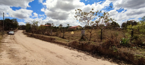 Imagem 10 de 15 de Lote Em Esmeraldas - Te00420 - 70076598