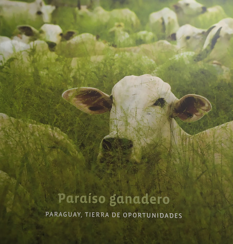 Paraíso Ganadero Paraguay, Tierra De Oportunidades