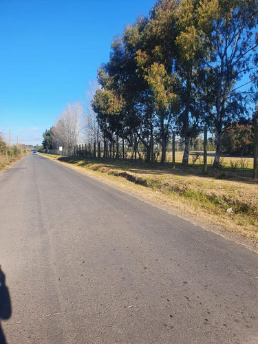 Imagen 6 de 6 de Fraccion De Tierra En El Ocho, Entrada Independiente - Pilará