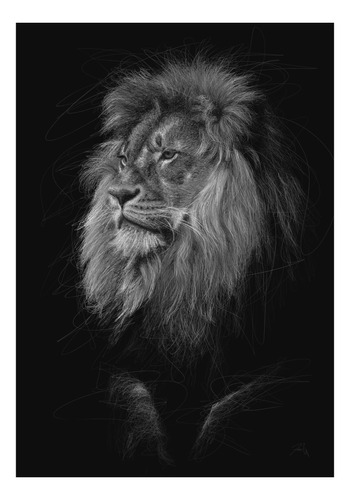 Print Gicleé Dibujo Leon Blanco Y Negro A4