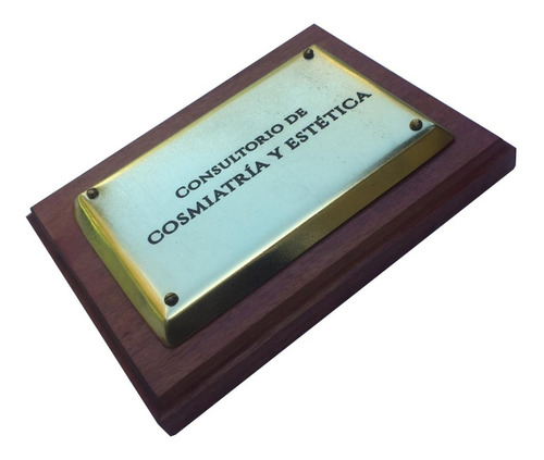 Placa Profesional Para Estudios, Abogado, Medico. 25x15cm.