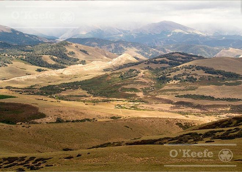 Imagen 14 de 24 de Campo De 2400 Has En Venta En Bariloche - Patagonia Argentina - Fly Fishing