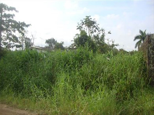 Imagem 1 de 1 de Terreno - Venda - Campos Eliseos - Itanhaem - Ita900