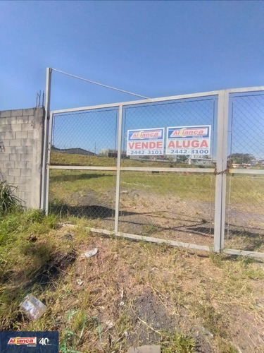 Imagem 8 de 15 de Terreno Para Venda No Bairro Cidade Industrial Satélite De São Paulo Em Guarulhos - Cod: Ai29734 - Ai29734