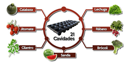 5 Semilleros Termoformado De 21 Cavidades Reutilizables