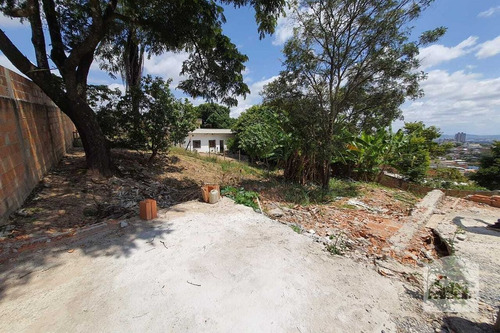 Imagem 7 de 7 de Lote À Venda No Ouro Preto - Código 316739 - 316739