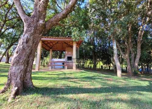 Imagem 3 de 17 de Casa Com 2 Dormitórios À Venda - Ca1303