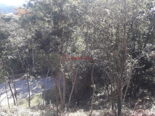 Imagem 10 de 20 de Terreno Com 443 M² Em Condomínio Em Vargem Grande. Teresópolis- Rj. - Te00281 - 34420574