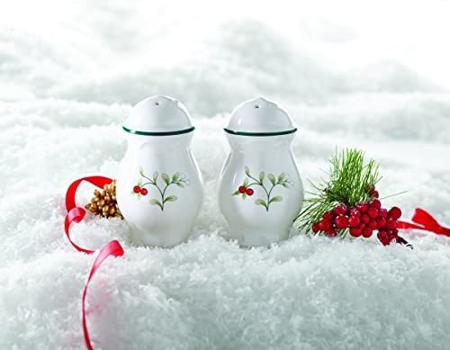 Imagen 1 de 2 de Juego De Sal Y Pimienta De Gres Winterberry De Pfaltzgraff -
