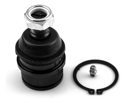 Rotula J10 J20 Serie 10 Inferior 4x2 4x4 Tasd