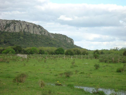Campo En Venta En Lavalleja, 32 Hectáreas.