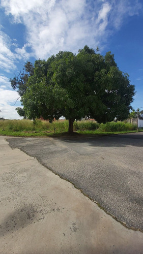 Imagen 7 de 7 de En Venta Terreno En Esquina En Guataparo Country Club