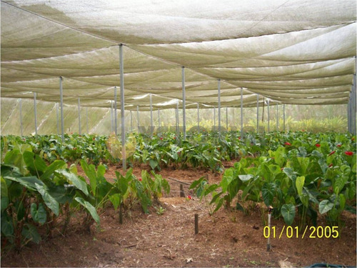 Imagem 23 de 27 de Fazenda Com 4 Dormitórios À Venda, 250000 M² Por R$ 28.000.000,00 - Poiares - Caraguatatuba/sp - Fa0001